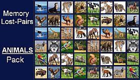 Memory Lost-Pairs - Animals