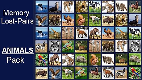 Memory Lost-Pairs - Animals DLC