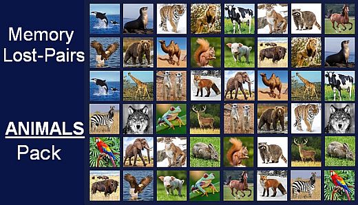 Memory Lost-Pairs - Animals