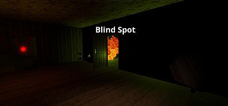 Blind Spot