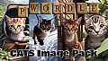 pWordle - Cats Image Pack