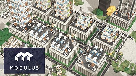 Modulus Playtest Game