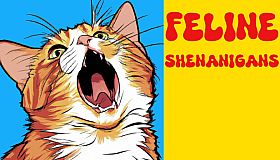 Feline Shenanigans