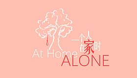 At Home Alone - Reward 1$ 打赏1美金