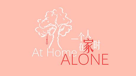 At Home Alone - Reward 1$ 打赏1美金 DLC