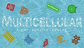 Multicellular