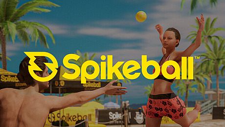 Spikeball Smash Game