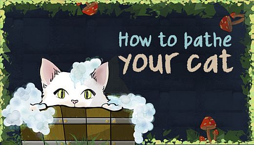 How To Bathe Your Cat