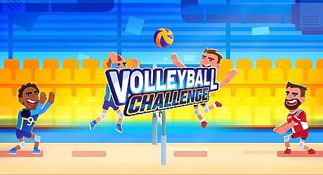 Volleyball Challenge Game