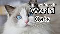 Jigsaw Puzzle World - Cats