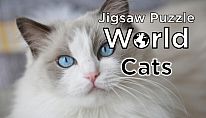 Kup Jigsaw Puzzle World - Cats na PC