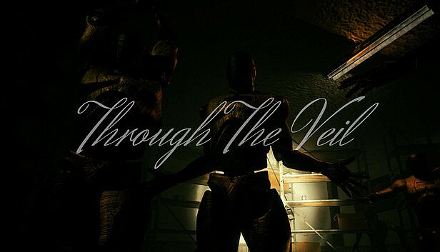 Buy Through The Veil