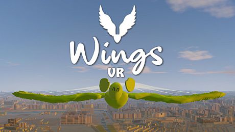 Wings VR Game