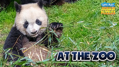 Let's Play Jigsaw Puzzles: At the Zoo DLC