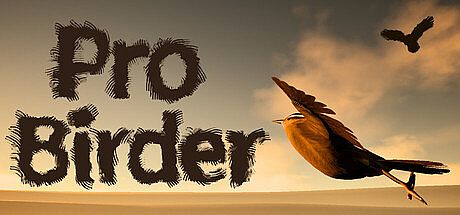 Pro Birder Game