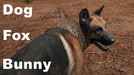 Dog_Fox_Bunny Game