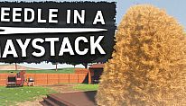 Kup Needle In A Haystack na PC