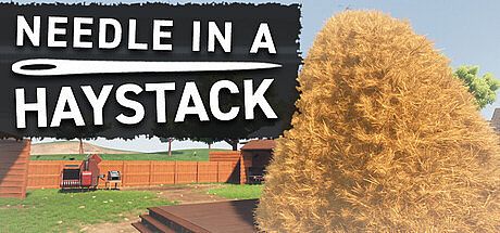 Needle In A Haystack