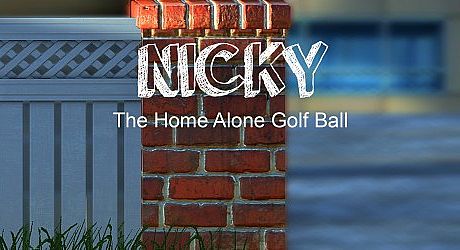 Nicky - The Home Alone Golf Ball Game
