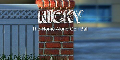 Nicky - The Home Alone Golf Ball