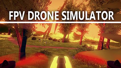 FPV Drone Simulator Game
