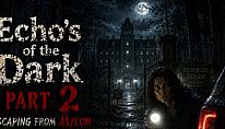 Buy Echo's of the Dark Part 2 Escaping From Asylum PC