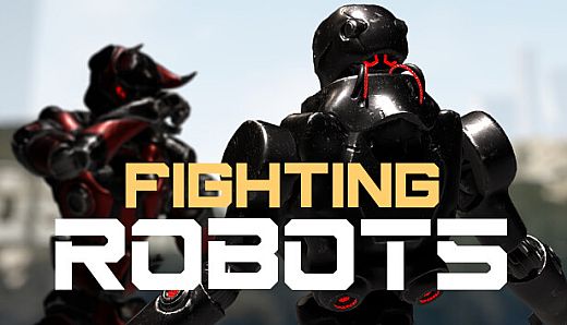 Fighting Robots