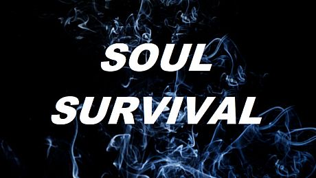 Soul Survival VR Game
