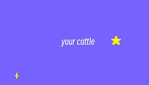 your cattle