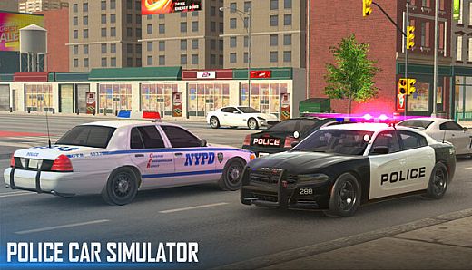 Police Car Simulator
