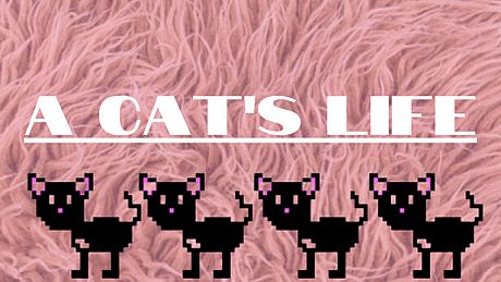 A Cats Life Game