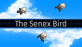 The Senex Bird