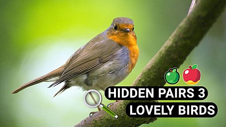 Hidden Pairs 3: Lovely Birds - Hidden Objects Game