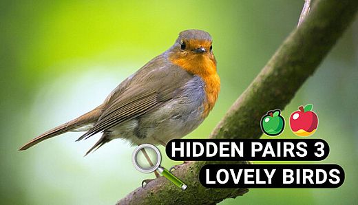 Hidden Pairs 3: Lovely Birds - Hidden Objects