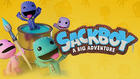 Sackboy: A Big Adventure - Matte Paint Pack DLC