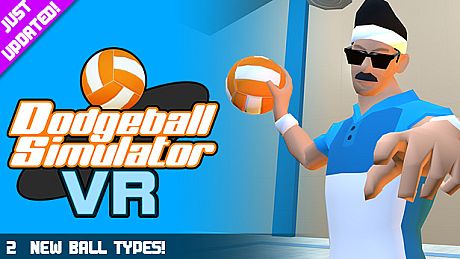 Dodgeball Simulator VR Game