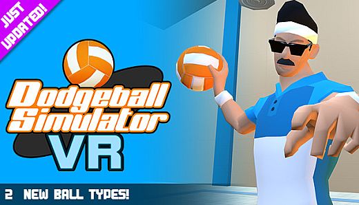 Dodgeball Simulator VR