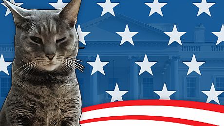 Cat President: A More Purrfect Union Game