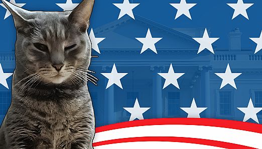 Cat President: A More Purrfect Union