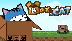 BoxCat