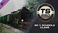 Train Simulator: SR V Schools Class