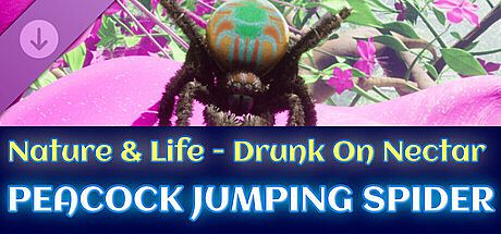 Peacock Jumping Spider - Drunk On Nectar DLC