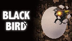 BLACK BIRD