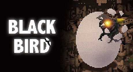 BLACK BIRD Game