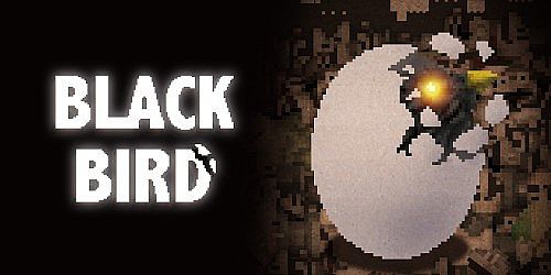BLACK BIRD