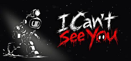 I Can't See You