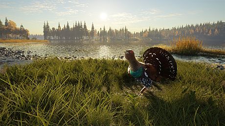 theHunter: Call of the Wild - Revontuli Coast Bundle