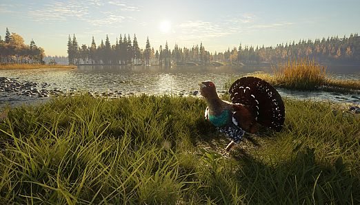 theHunter: Call of the Wild - Revontuli Coast
