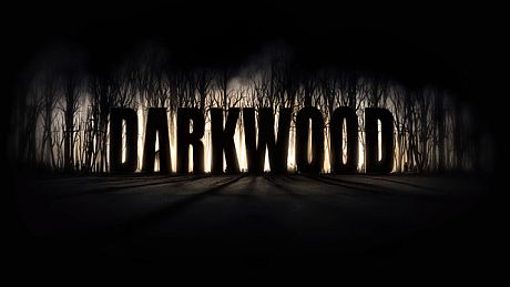 Darkwood - Artbook DLC