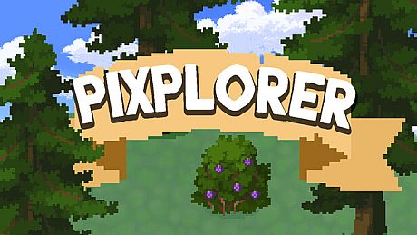 Pixplorer Game